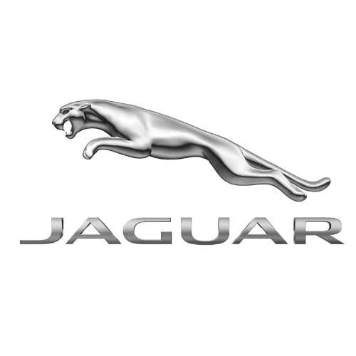 Jaguar Mileage Stopper 1