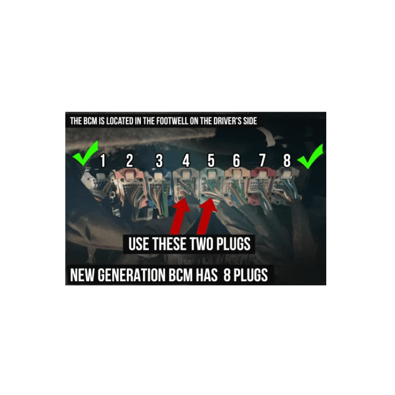 10002 2.png
