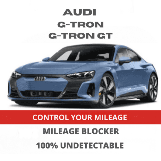 AudiG TronMileageBlockerStopperCanbusFilter.png