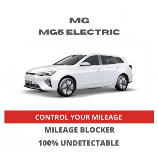MGMG5ElectricMileageBlockerStopperCanbusFilter.png