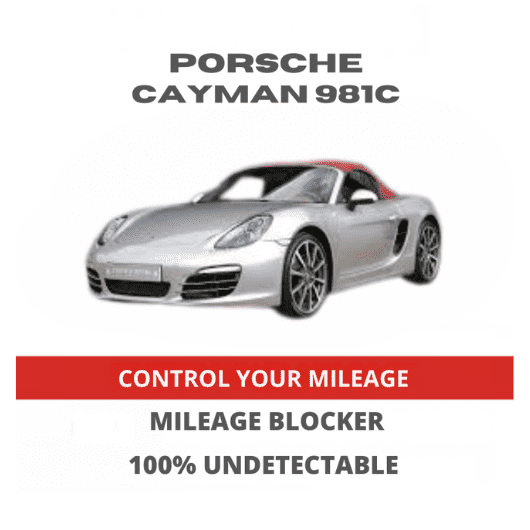PorscheCayman981CMileageBlockerStopperCanbusFilter.png